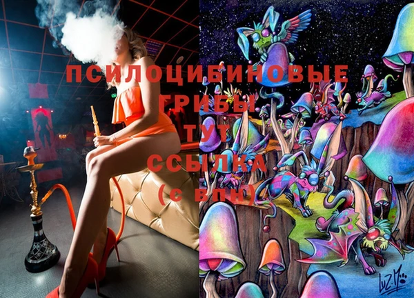 прущие крисы Беломорск